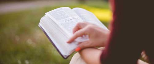 pexels-photo-241328-bible-600