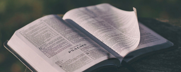 pixabay-bible-600x240