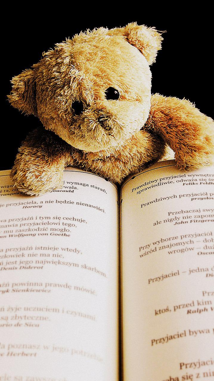 Pixabay_teddy-422370_1280